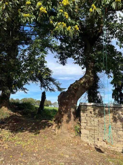 Gite Du Dolmen Guiscriff エクステリア 写真