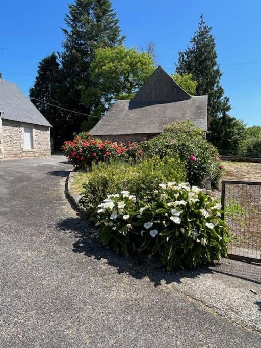 Gite Du Dolmen Guiscriff エクステリア 写真